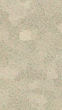 Lüks hareket projeleri için soyut tasarım stili animasyonu olan üst düzey dijital doku