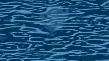 Dijital doku yüzey tasarım biçimi ile modern video animasyonu için gelişmiş hareket grafikleri