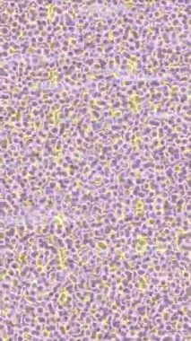 Organik desenli yüzey giriş stili video film sanatı ile soyut arkaplan tasarımı