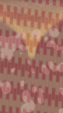 Dijital doku yüzey tasarım biçimi ile modern video animasyonu için gelişmiş hareket grafikleri