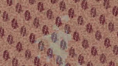 Lüks hareket tasarımı üst düzey video projeleri ve dijital sanat için zarif, pürüzsüz bir dokusu var.