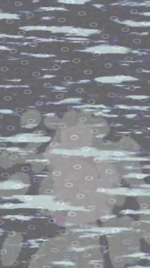 Yaratıcı video düzenleme film arkaplan tasarımı için minimalist organik hareket grafikleri