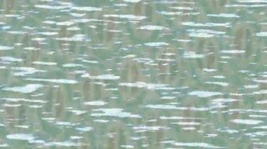 Benzersiz video giriş tasarımı projeleri için detaylı yüzey kalıbı film animasyon stili grafik girişi