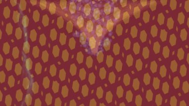 Estetik doku arkaplan tasarımı renkli hareket grafikleri ile moda film giriş profosyoneli