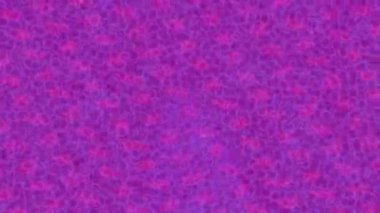 Dijital doku yüzey tasarım biçimi ile modern video animasyonu için gelişmiş hareket grafikleri