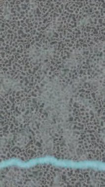 Lüks hareket tasarımı üst düzey video projeleri ve dijital sanat için zarif, pürüzsüz bir dokusu var.