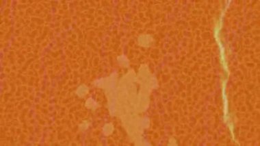 Benzersiz hareket grafikleri tasarım sanatına sahip yaratıcı film üretimi için özet bir arkaplan