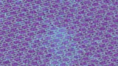 Lüks hareket projeleri için soyut tasarım stili animasyonu olan üst düzey dijital doku