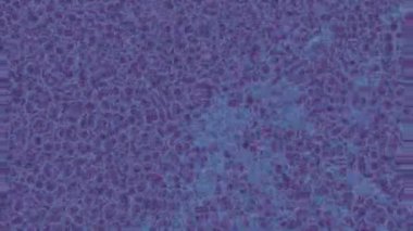 Soyut hareket desenli fütüristik video üretimi için dinamik dijital arkaplan