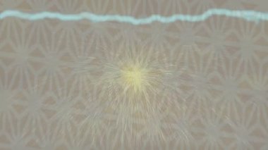 Benzersiz dijital hareket grafiklerine sahip yaratıcı sinematik projeler için yumuşak animasyon yüzeyi