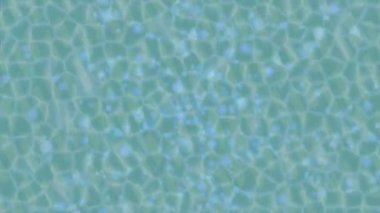 Profesyonel video projeleri sanat tarzı için organik hareketli arkaplan tasarımı