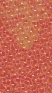 Benzersiz video giriş tasarımı projeleri için detaylı yüzey kalıbı film animasyon stili grafik girişi