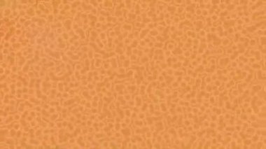 Soyut hareket desenli fütüristik video üretimi için dinamik dijital arkaplan