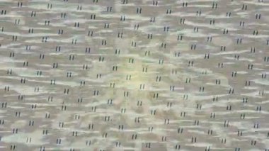 Benzersiz dijital hareket grafiklerine sahip yaratıcı sinematik projeler için yumuşak animasyon yüzeyi