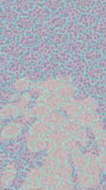 Lüks hareket projeleri için soyut tasarım stili animasyonu olan üst düzey dijital doku