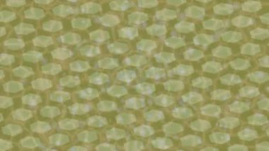 Benzersiz dijital animasyon tarzı grafikleri olan yaratıcı ortam tasarımı için yenilikçi hareket dokusu