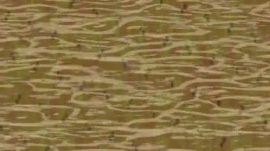 Benzersiz video giriş tasarımı projeleri için detaylı yüzey kalıbı film animasyon stili grafik girişi