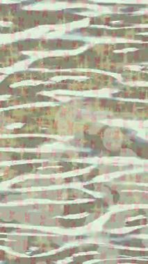 Benzersiz dijital hareket grafiklerine sahip yaratıcı sinematik projeler için yumuşak animasyon yüzeyi