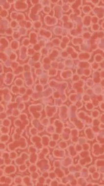 Benzersiz dijital hareket grafiklerine sahip yaratıcı sinematik projeler için yumuşak animasyon yüzeyi