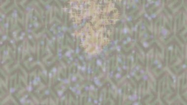 Yaratıcı video düzenleme film arkaplan tasarımı için minimalist organik hareket grafikleri