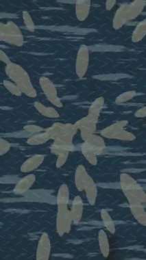 Benzersiz dijital hareket grafiklerine sahip yaratıcı sinematik projeler için yumuşak animasyon yüzeyi