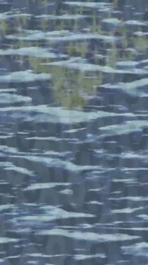 Profesyonel video projeleri sanat tarzı için organik hareketli arkaplan tasarımı