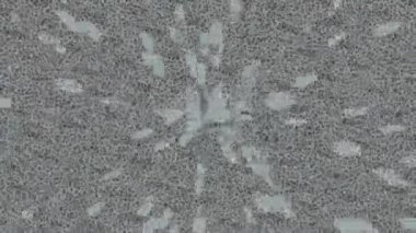 Organik desenli yüzey giriş stili video film sanatı ile soyut arkaplan tasarımı