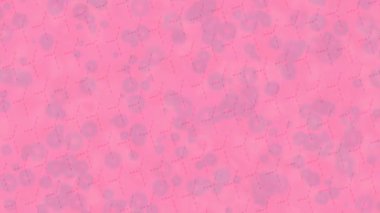 Benzersiz hareket grafikleri tasarım sanatına sahip yaratıcı film üretimi için özet bir arkaplan