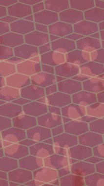 Estetik doku arkaplan tasarımı renkli hareket grafikleri ile moda film giriş profosyoneli