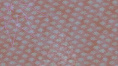 Benzersiz dijital hareket grafiklerine sahip yaratıcı sinematik projeler için yumuşak animasyon yüzeyi