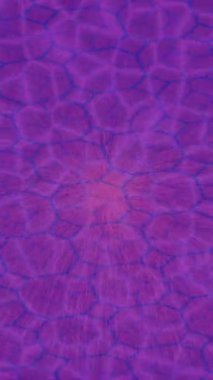 Organik desenli yüzey giriş stili video film sanatı ile soyut arkaplan tasarımı