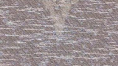 Lüks hareket tasarımı üst düzey video projeleri ve dijital sanat için zarif, pürüzsüz bir dokusu var.