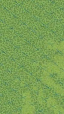 Dijital doku yüzey tasarım biçimi ile modern video animasyonu için gelişmiş hareket grafikleri