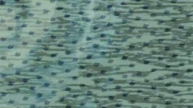 Benzersiz hareket dokusu tasarım sanatı ile profesyonel video düzenleme için modern soyut grafikler