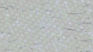 Soyut hareket desenli fütüristik video üretimi için dinamik dijital arkaplan