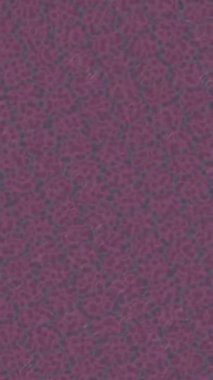 Yaratıcı video düzenleme film arkaplan tasarımı için minimalist organik hareket grafikleri