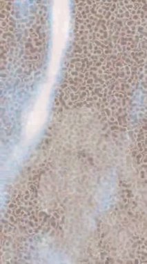 Lüks hareket projeleri için soyut tasarım stili animasyonu olan üst düzey dijital doku