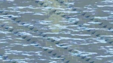 Estetik doku arkaplan tasarımı renkli hareket grafikleri ile moda film giriş profosyoneli