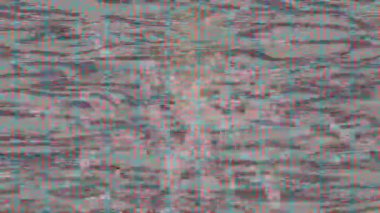 Estetik doku arkaplan tasarımı renkli hareket grafikleri ile moda film giriş profosyoneli