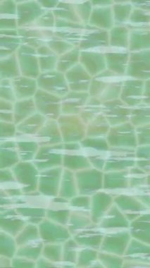 Yaratıcı video düzenleme film arkaplan tasarımı için minimalist organik hareket grafikleri