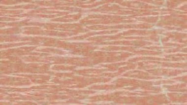 Benzersiz dijital hareket grafiklerine sahip yaratıcı sinematik projeler için yumuşak animasyon yüzeyi