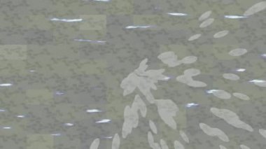 Profesyonel video projeleri sanat tarzı için organik hareketli arkaplan tasarımı