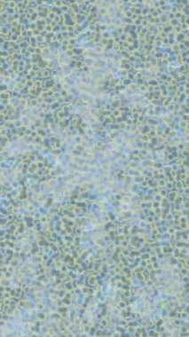 Benzersiz dijital animasyon tarzı grafikleri olan yaratıcı ortam tasarımı için yenilikçi hareket dokusu