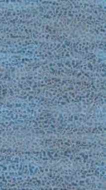 Benzersiz dijital hareket grafiklerine sahip yaratıcı sinematik projeler için yumuşak animasyon yüzeyi