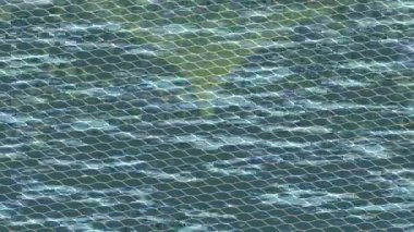 Soyut hareket desenli fütüristik video üretimi için dinamik dijital arkaplan