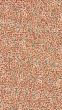 Benzersiz video giriş tasarımı projeleri için detaylı yüzey kalıbı film animasyon stili grafik girişi