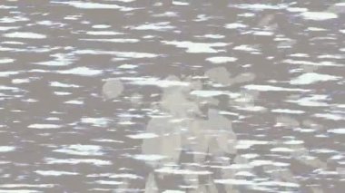 Benzersiz dijital hareket grafiklerine sahip yaratıcı sinematik projeler için yumuşak animasyon yüzeyi