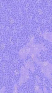 Yaratıcı video düzenleme film tasarımı için benzersiz hareket grafikleri biçimi giriş hareketi video pro