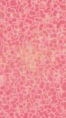 Estetik doku arkaplan tasarımı renkli hareket grafikleri ile moda film giriş profosyoneli