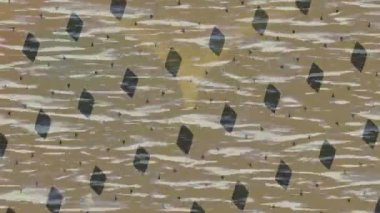 Benzersiz video giriş tasarımı projeleri için detaylı yüzey kalıbı film animasyon stili grafik girişi